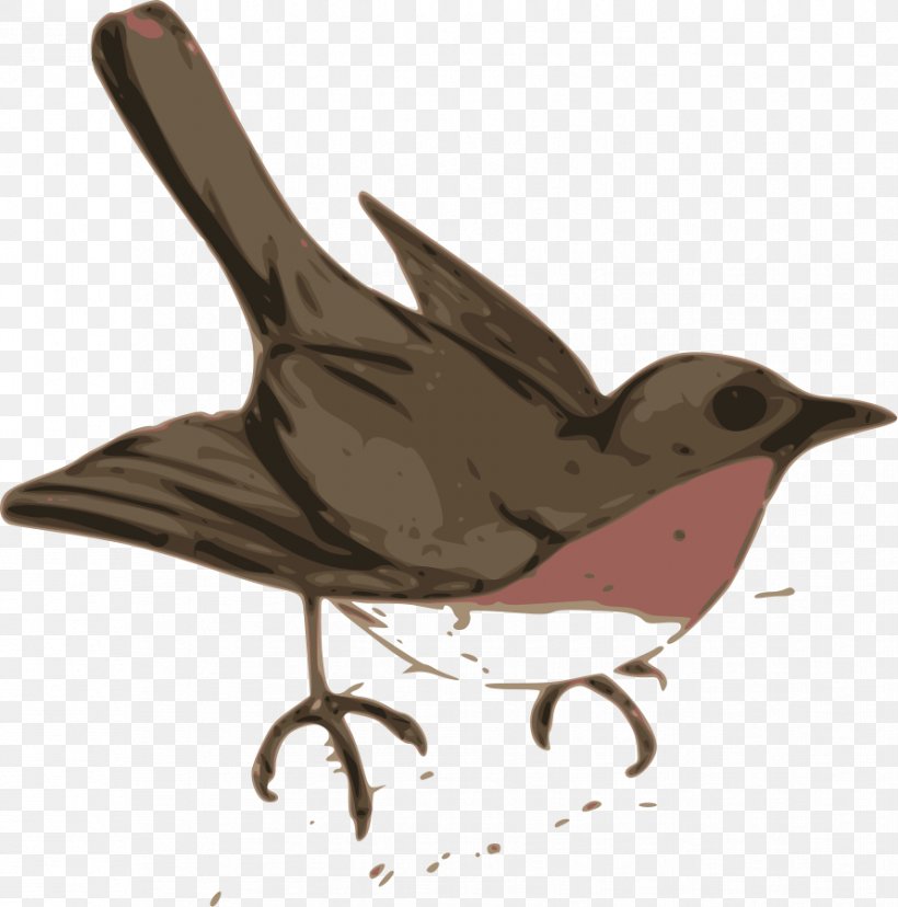 Bird European Robin Cuckoos Clip Art, PNG, 891x900px, Bird, American Robin, Beak, Bird Flight, Bird Nest Download Free