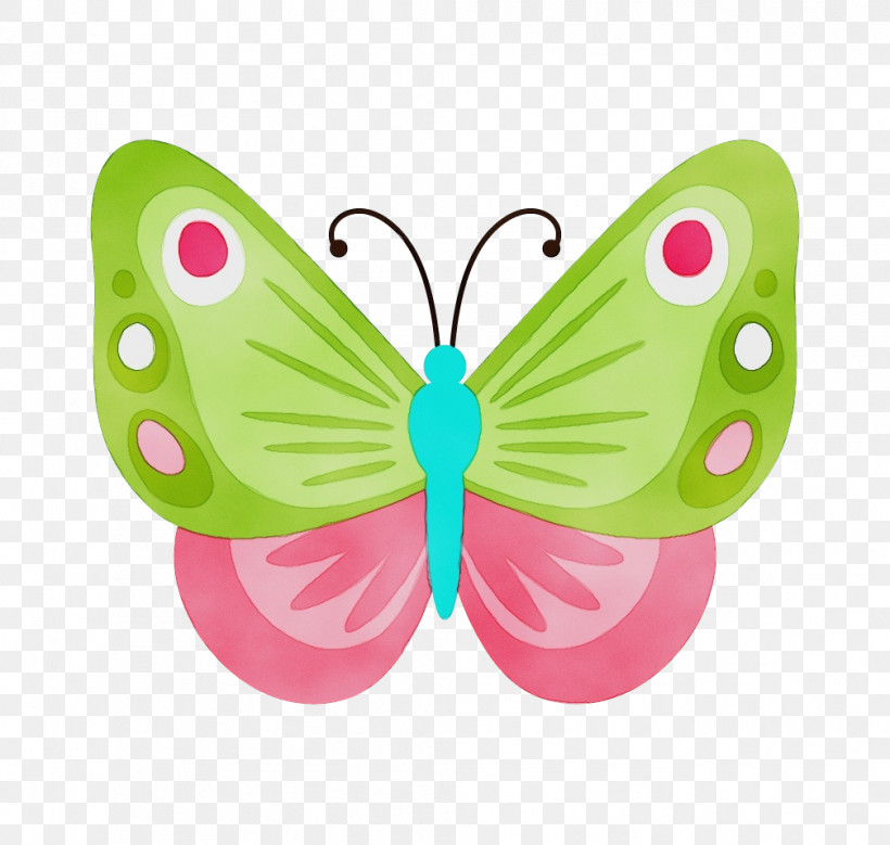 Butterfly Insect Pink Wing Moths And Butterflies, PNG, 1007x957px, Watercolor, Butterfly, Insect, Moths And Butterflies, Paint Download Free