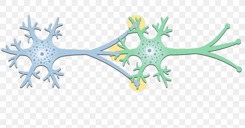 Electrical Synapse Neuron Gap Junction Postsynaptic Potential, PNG, 1200x630px, Watercolor, Cartoon, Flower, Frame, Heart Download Free