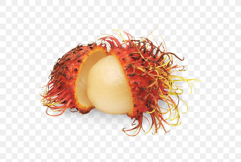 Fruit Rambutan Vegetable Food Chives, PNG, 550x550px, Fruit, Banana, Bell Pepper, Chives, Food Download Free