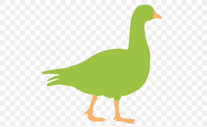 Goose Mallard Duck Google Images, PNG, 536x504px, Goose, Android, Beak, Bird, Chicken Download Free