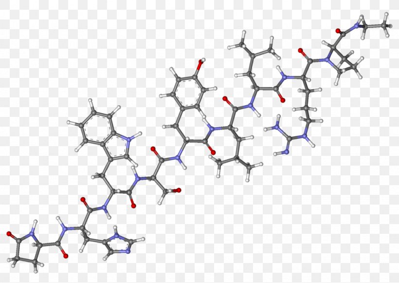 Leuprorelin Gonadotropin-releasing Hormone Agonist Gonadotropin-releasing Hormone Analogue Endometriosis, PNG, 1024x726px, Leuprorelin, Area, Branch, Clinical Trial, Endometriosis Download Free