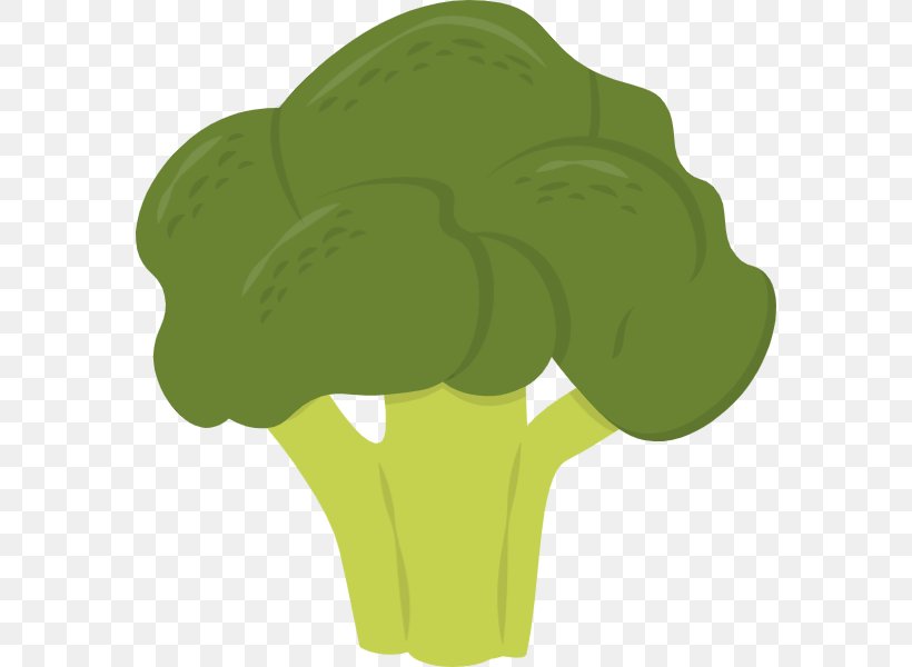 Vegetable Greens Illustration Clip Art Vector Graphics, PNG, 576x600px, Vegetable, Broccoli, Cauliflower, Cruciferous Vegetables, Curly Kale Download Free