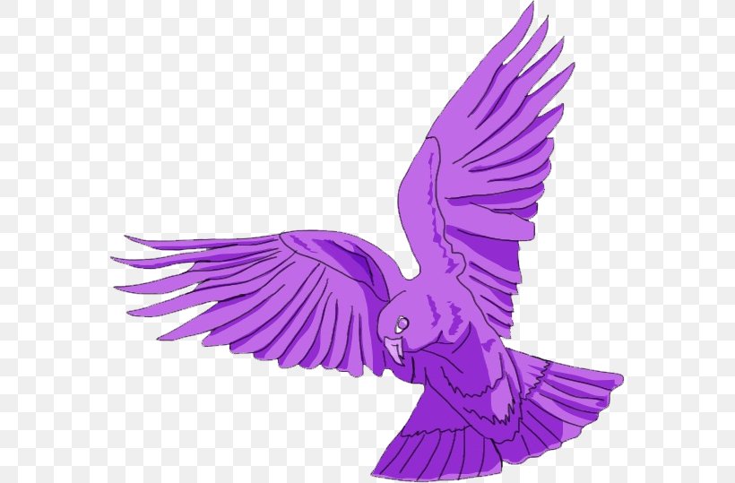Beak Bird Of Prey Feather Wing, PNG, 575x539px, Beak, Bird, Bird Of Prey, Feather, Purple Download Free