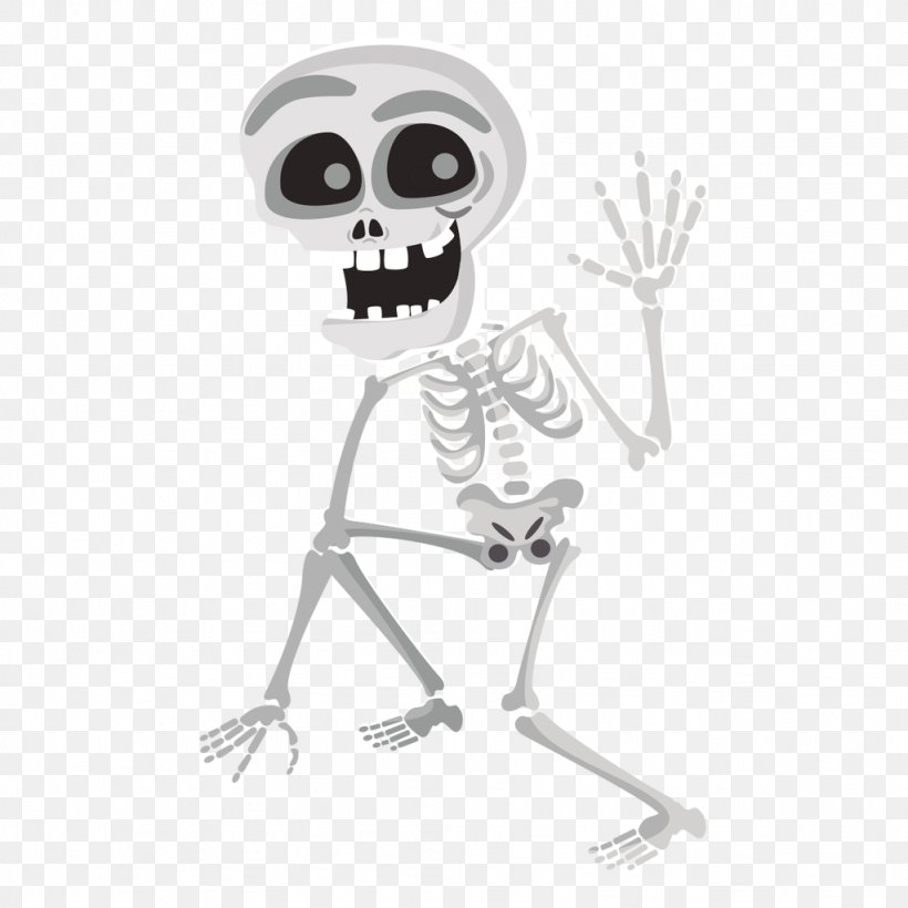 Human Skeleton Clip Art, PNG, 1024x1024px, Human Skeleton, Animation, Black  And White, Bone, Free Content Download
