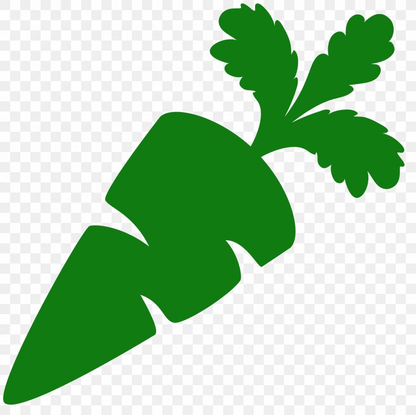 Carrot Vegetable Arracacia Xanthorrhiza Clip Art, PNG, 1600x1600px, Carrot, Arracacia Xanthorrhiza, Flora, Food, Grass Download Free