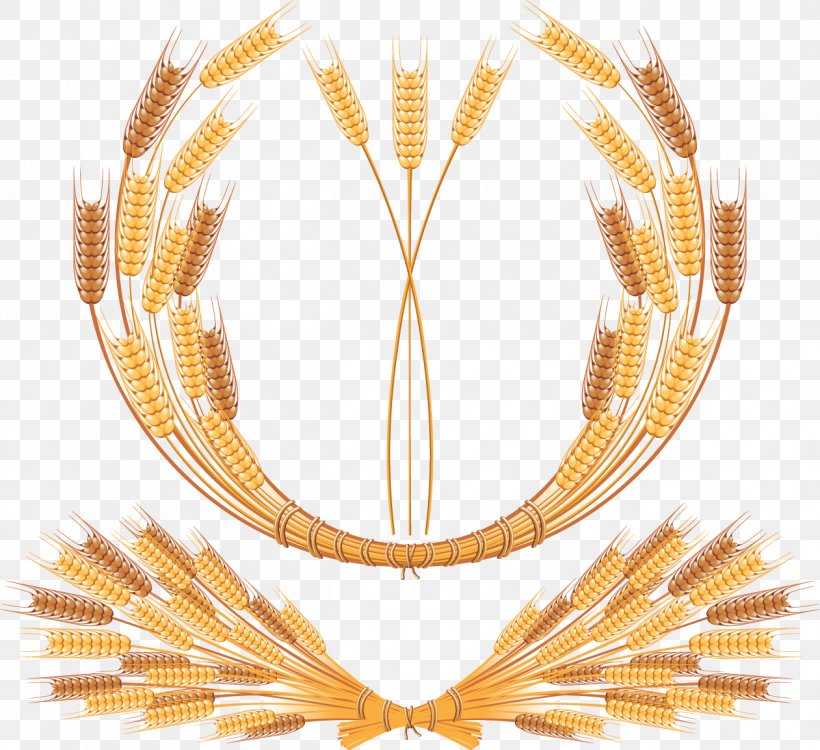 Common Wheat Ear Royalty-free Clip Art, PNG, 1261x1154px, Common Wheat, Cereal, Ear, Gold, Grain Download Free