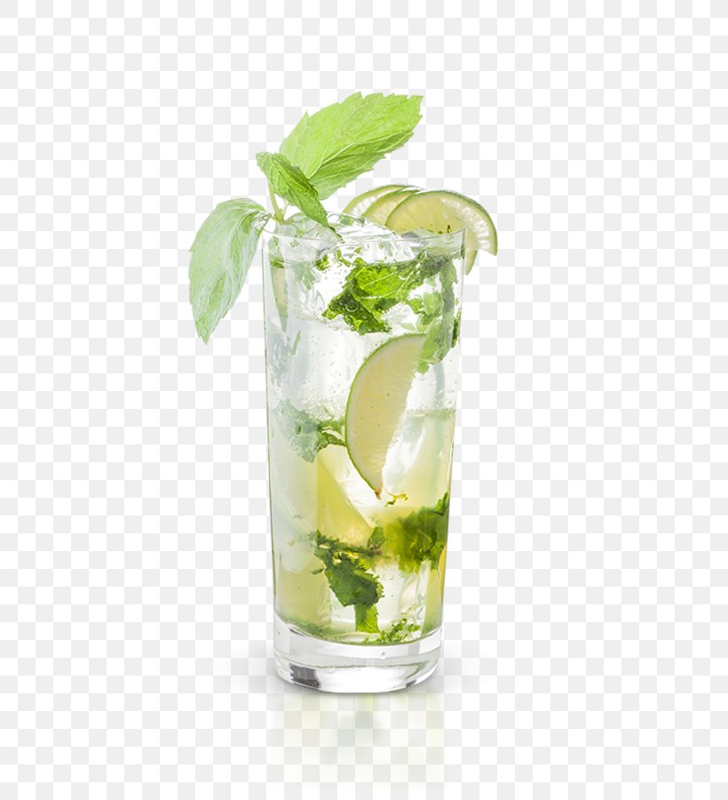 Mojito Lime Lemonade Sea Breeze Vodka Tonic, PNG, 600x900px, Mojito, Cocktail, Cocktail Garnish, Drink, Juice Download Free