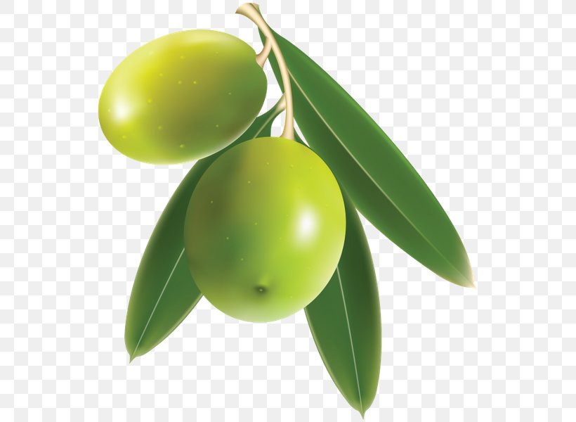 Olive Benishan Mango Clip Art, PNG, 549x600px, Olive, Benishan, Food, Fruit, Green Download Free