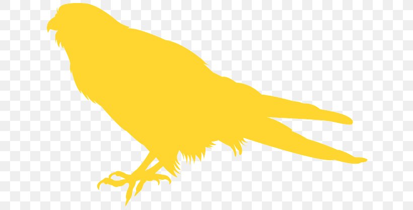 Bird Yellow Beak Claw Canary, PNG, 640x417px, Bird, Beak, Canary, Claw, Perching Bird Download Free