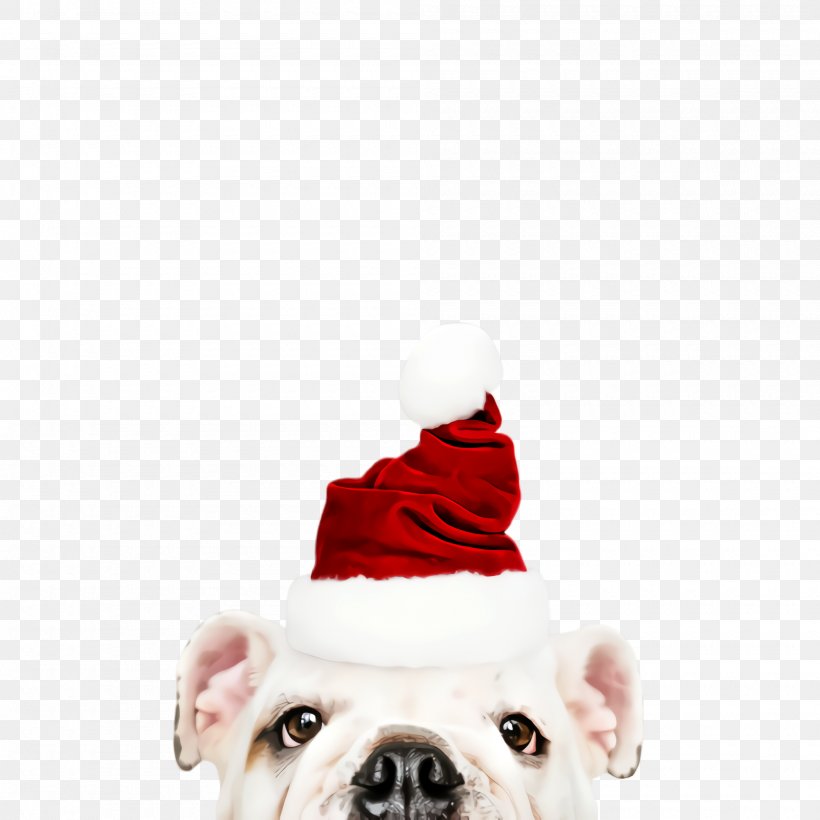 Cute Dog, PNG, 2000x2000px, Cute Dog, American Bulldog, Animal, Boston Terrier, Breed Download Free