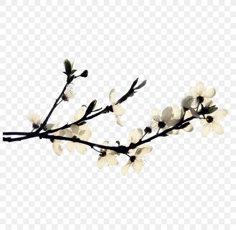 Haixihai Reservoir Ink Wash Painting, PNG, 800x800px, Ink, Art, Branch, Flower, Information Download Free