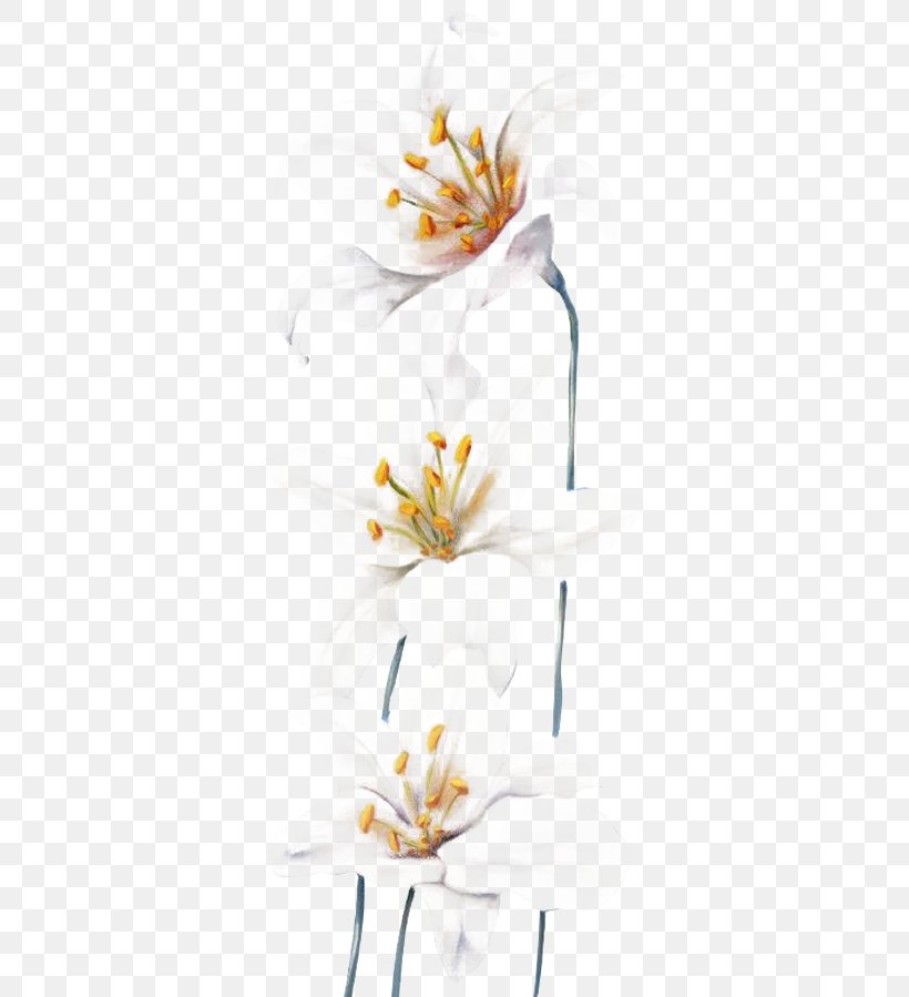 Lilium Flower Gratis, PNG, 350x899px, Lilium, Branch, Cut Flowers, Designer, Floral Design Download Free