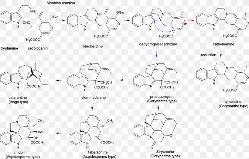 Indole Alkaloid Ergoline Gramine, PNG, 2000x1278px, Indole Alkaloid, Alkaloid, Amine, Area, Auto Part Download Free