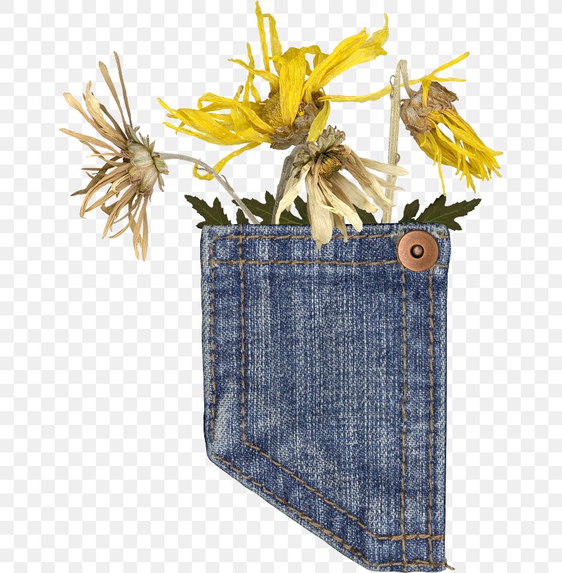 Jeans Denim Pocket Clip Art, PNG, 650x836px, Jeans, Albom, Blog, Blue, Cut Flowers Download Free