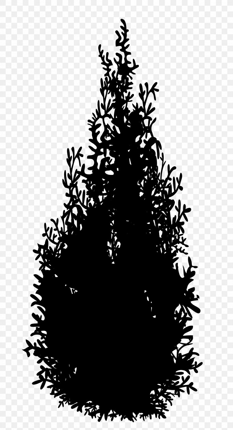 Spruce Christmas Tree Christmas Ornament Fir Pine, PNG, 2381x4378px, Spruce, American Larch, Black, Blackandwhite, Branch Download Free