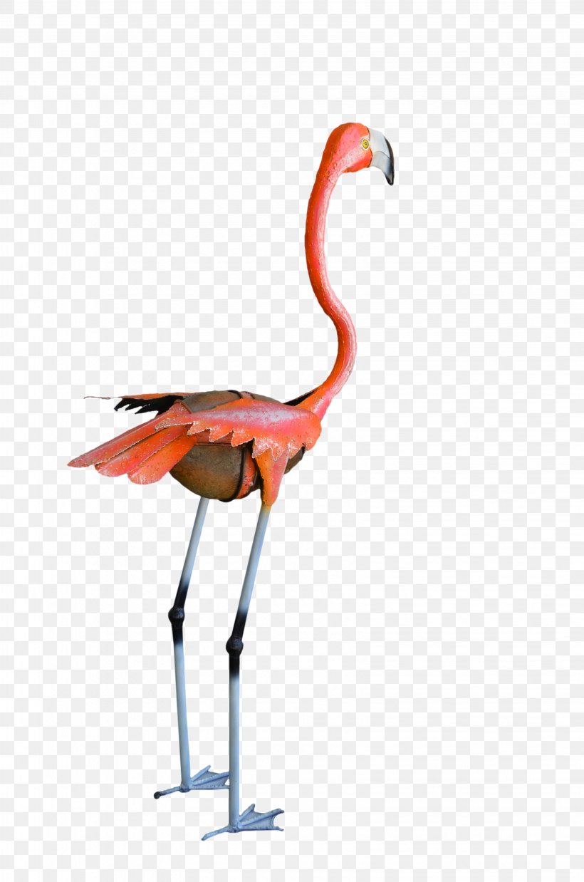 Water Bird Vertebrate Crane Beak, PNG, 3264x4928px, Bird, Animal, Beak, Blog, Crane Download Free