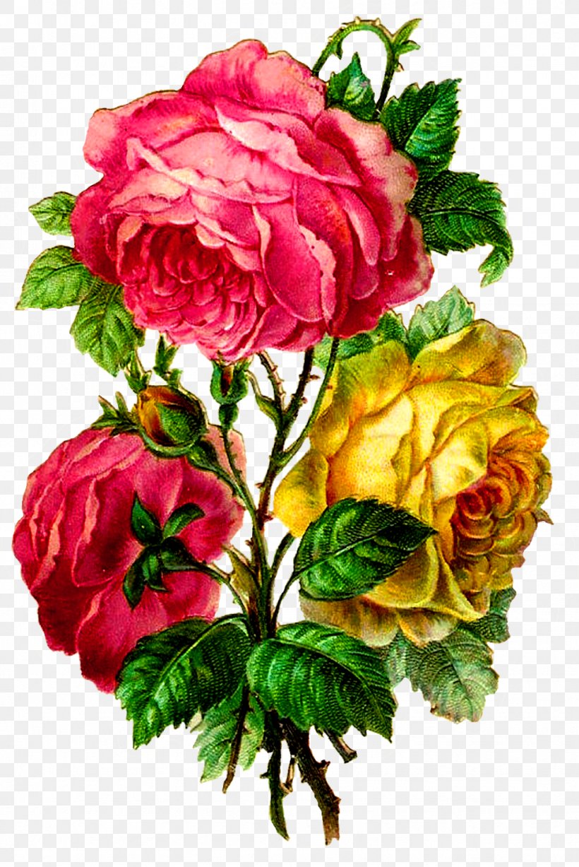 Flower Bouquet Cabbage Rose Garden Roses Clip Art, PNG, 976x1461px, Flower Bouquet, Artificial Flower, Blue Rose, Bouquet, Cabbage Rose Download Free