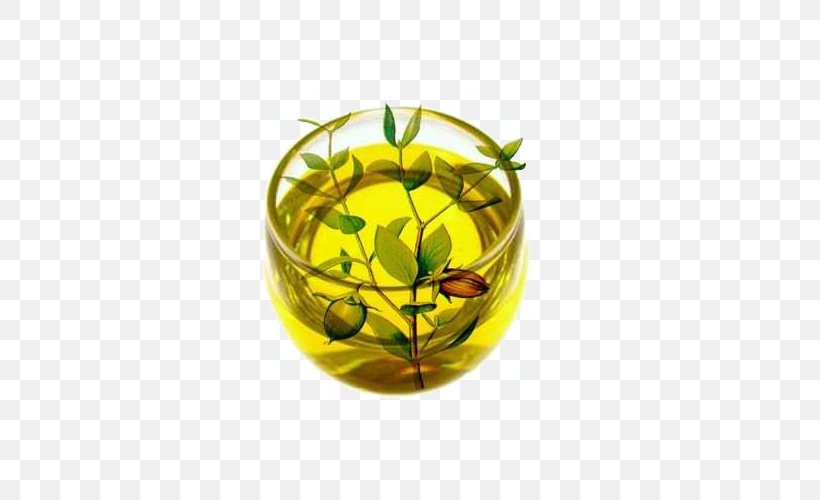 Skin Care Jojoba Oil Hair, PNG, 500x500px, Skin, Apricot Oil, Carrier Oil, Cleanser, Cosmetics Download Free