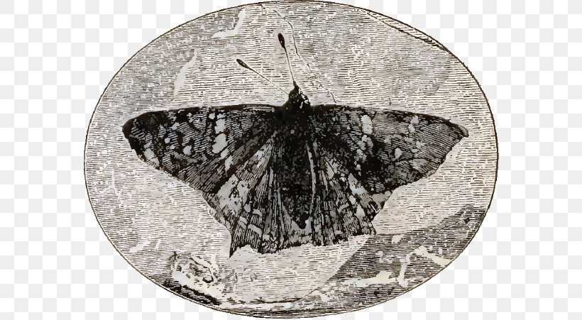 Butterfly Eocene Insect Prodryas Florissant Fossil Beds National Monument, PNG, 586x451px, Butterfly, Arthropod, Black And White, Brush Footed Butterfly, Butterflies And Moths Download Free