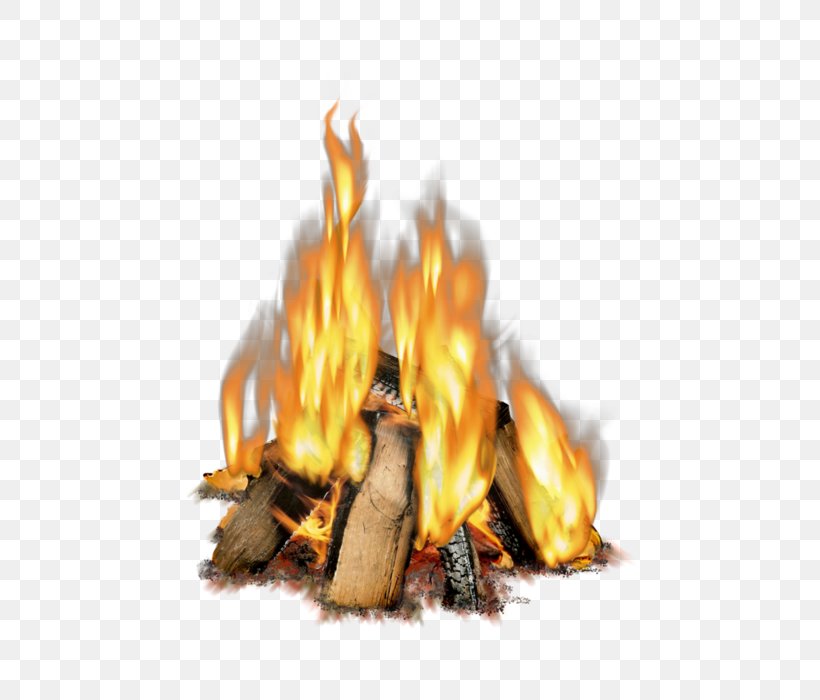 Fire, PNG, 605x700px, Fire, Bonfire, Campfire, Flame, Light Download Free