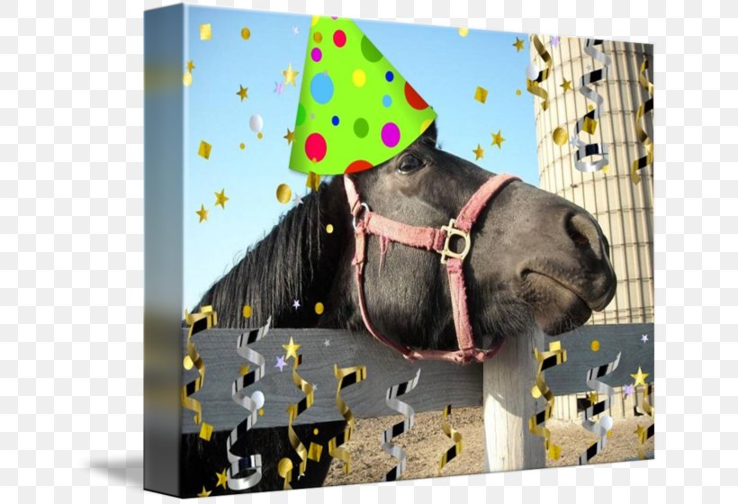 Horse Birthday Party Convite Snout, PNG, 650x560px, Horse, Birthday, Convite, Horse Like Mammal, Party Download Free