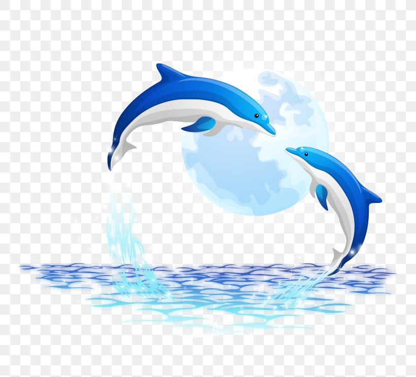 Oceanic Dolphin, PNG, 764x743px, Porpoise, Beak, Bird, Dolphin, Flightless Bird Download Free