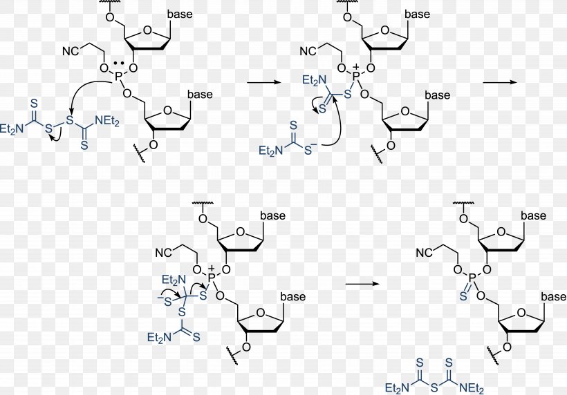 Oligonucleotide Synthesis Phosphoramidite Phosphonate DNA, PNG, 5730x4000px, Oligonucleotide, Amine, Antisense Therapy, Area, Black And White Download Free