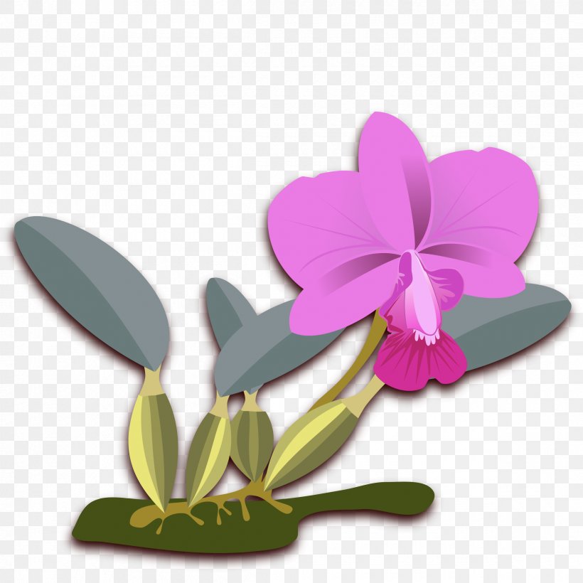 Cattleya Walkeriana Cattleya Bicolor Orchids Clip Art, PNG, 2400x2400px, Cattleya Walkeriana, Boat Orchid, Cattleya, Cattleya Bicolor, Cattleya Orchids Download Free