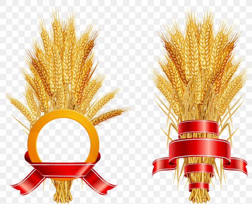 Common Wheat Logo Ear, PNG, 1000x808px, Common Wheat, Commodity, Ear, Grass Family, Logo Download Free