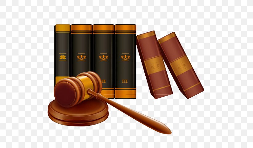 Criminal Law Court Judge Công Ty Luật Việt Phong, PNG, 600x480px, Law, Code Of Law, Court, Criminal Law, Judge Download Free
