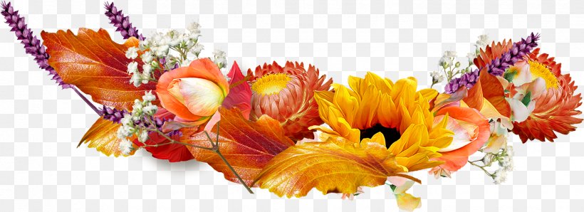 Desktop Wallpaper Common Sunflower Autumn Picture Frames, PNG, 1444x526px, Flower, Autumn, Autumn Leaf Color, Blossom, Chrysanths Download Free