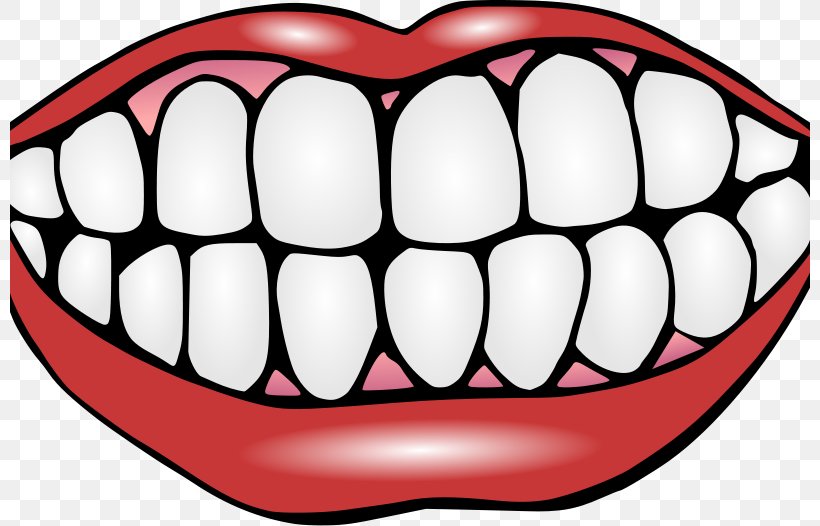 Human Tooth Tooth Decay Clip Art, PNG, 800x526px, Watercolor, Cartoon, Flower, Frame, Heart Download Free