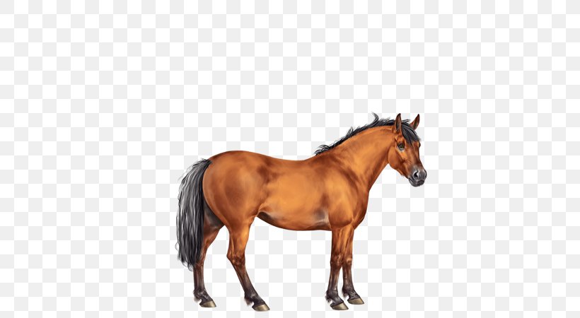 Rein Mane Stallion Mustang Mare, PNG, 600x450px, Rein, Animal Figure, Bay, Bit, Bridle Download Free