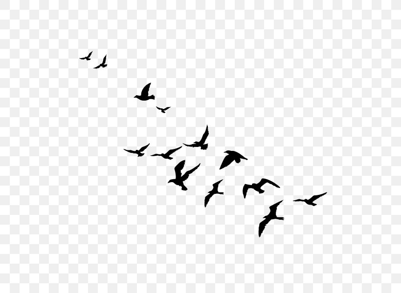 Bird Migration Flock Swans Goose, PNG, 600x600px, Bird, Animal, Animal Migration, Beak, Bird Migration Download Free