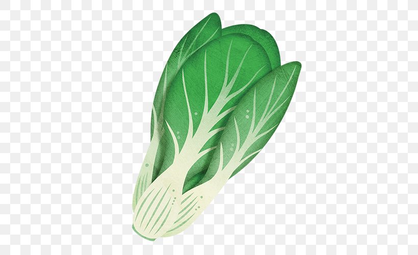 Bok Choy Leaf Vegetable Chinese Cabbage Plant, PNG, 500x500px, Bok Choy, Brassica, Brassica Rapa, Cabbage, Chinese Cabbage Download Free