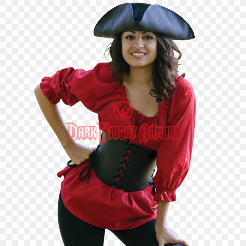 Costume T-shirt Blouse Clothing, PNG, 850x850px, Costume, Abdomen, Blouse, Chemisette, Clothing Download Free