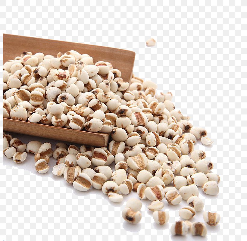Adlay Barley Seed Rice, PNG, 800x800px, Adlay, Barley, Caryopsis, Cereal, Coix Download Free
