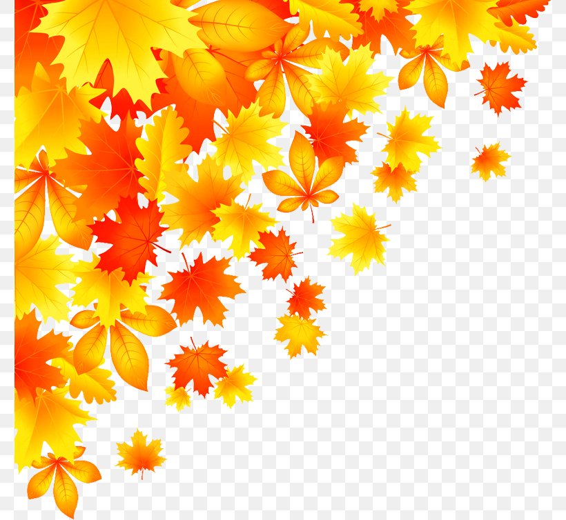 Autumn Leaf Color Royalty-free, PNG, 778x754px, Autumn, Autumn Leaf Color, Chrysanths, Color, Dahlia Download Free