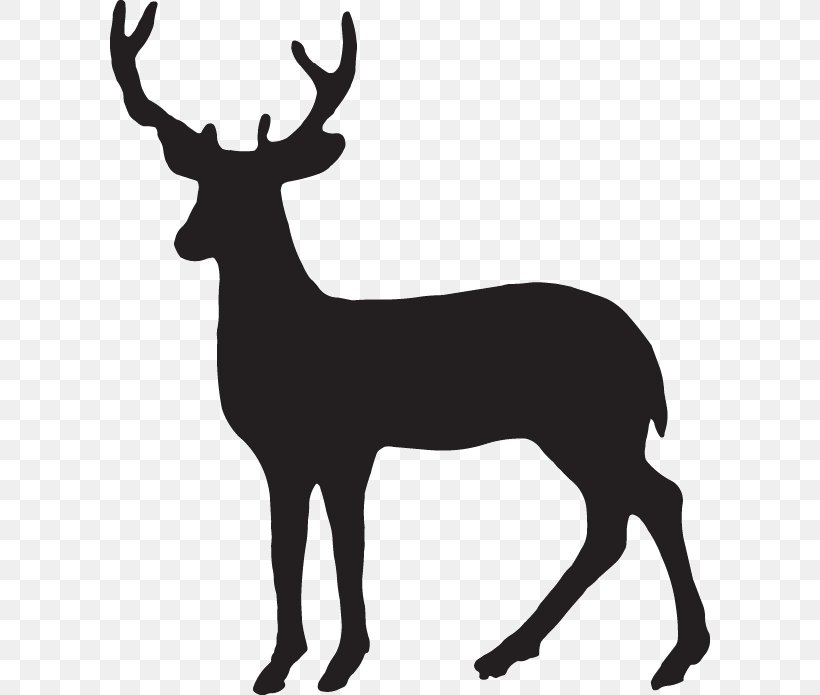 Deer Wall Decal Sticker Art, PNG, 600x695px, Deer, Animal, Antler, Black And White, Bumper Sticker Download Free