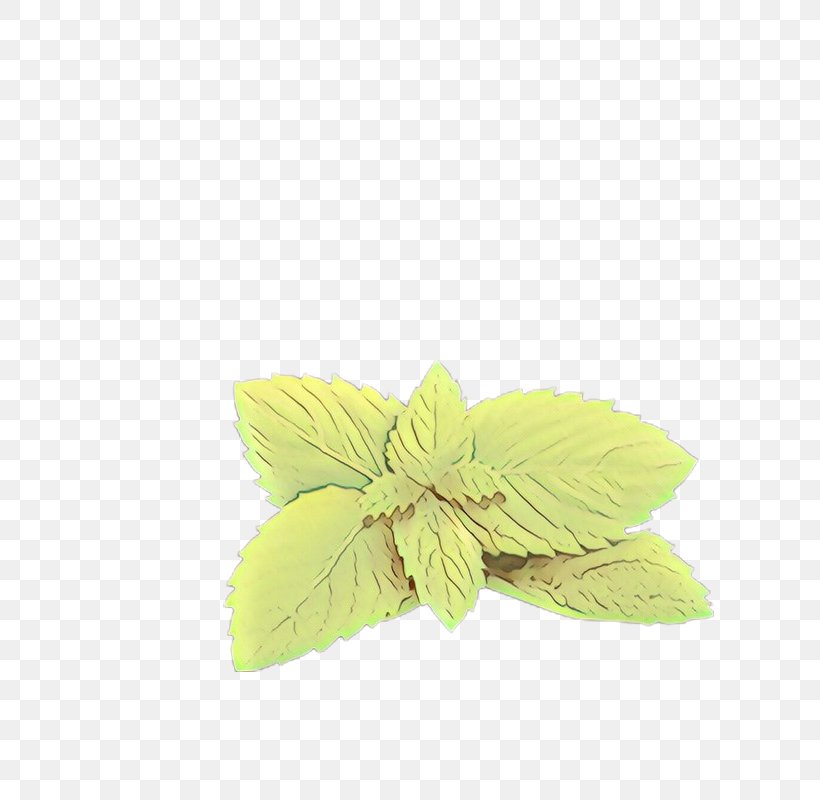 Green Leaf Yellow Plant Flower, PNG, 800x800px, Cartoon, Flower, Green, Leaf, Petal Download Free