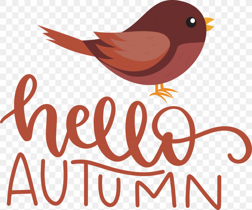 Hello Autumn, PNG, 3000x2503px, Hello Autumn, Beak, Biology, Birds, Logo Download Free