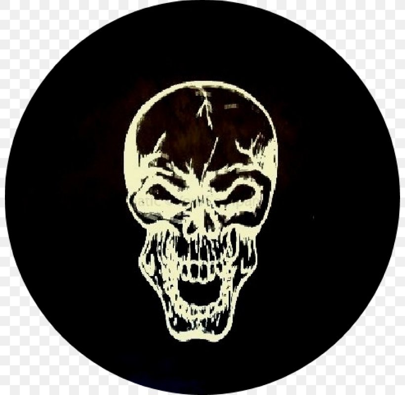 Skull Skeleton, PNG, 800x800px, Skull, Bone, Jaw, Skeleton Download Free