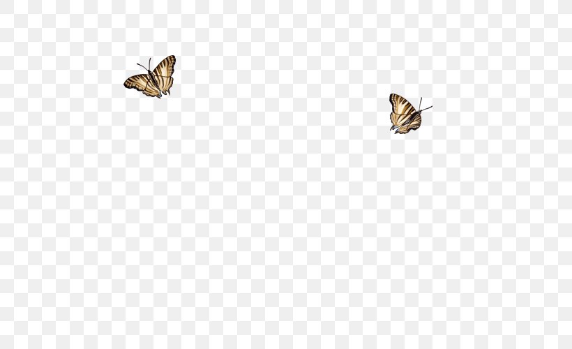 Butterflies And Moths Insect Fauna Wildlife, PNG, 640x500px, Moth, Arthropod, Butterflies And Moths, Butterfly, Fauna Download Free