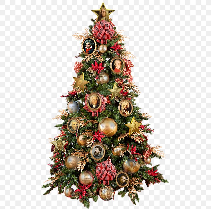 Christmas Tree Christmas Ornament Christmas Day Spruce, PNG, 504x813px, Christmas Tree, Angel, Chris Evans, Christmas, Christmas Day Download Free