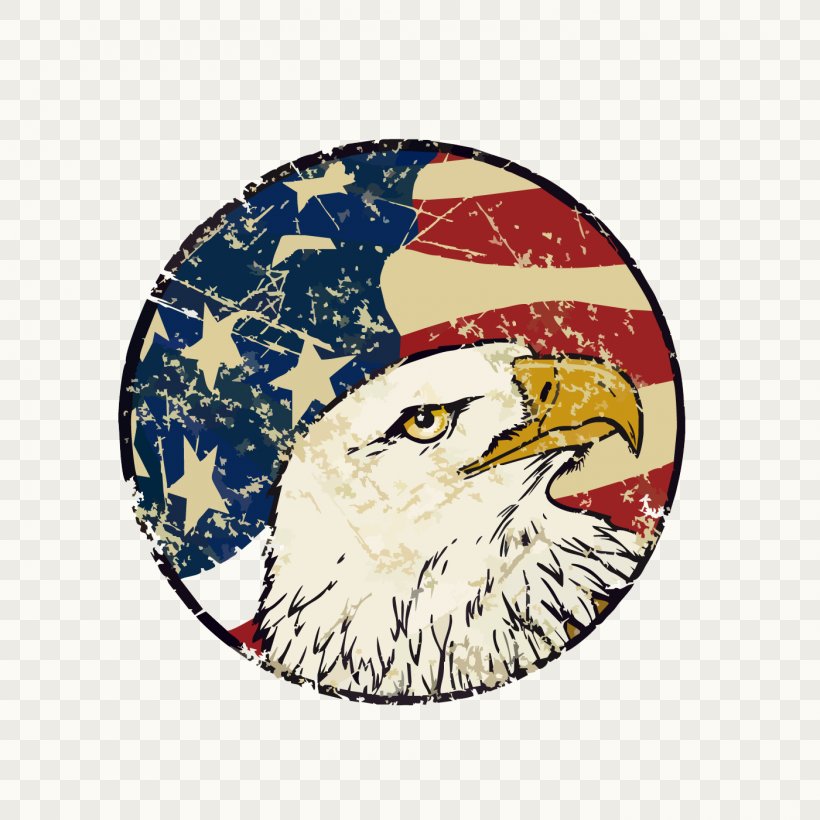 Flag Of The United States Bald Eagle, PNG, 1400x1400px, United States, Bald Eagle, Bird, Bird Of Prey, Brooch Download Free