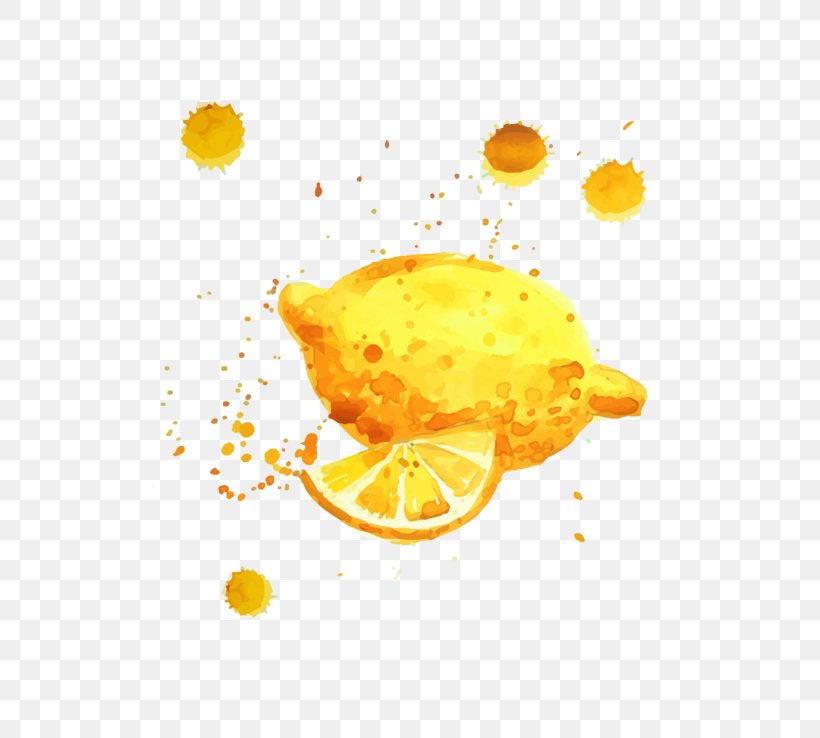 Lemon Orange Juice Cocktail Orange Drink, PNG, 800x738px, Lemon, Bitter Orange, Citric Acid, Citron, Citrus Download Free