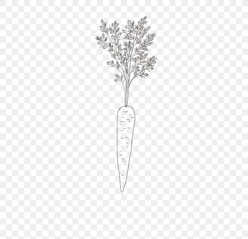 Carrot Drawing, PNG, 564x788px, Carrot, Black And White, Cartoon, Diagram, Drawing Download Free