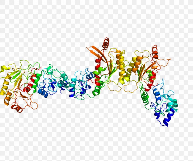 DNA Methyltransferase DNMT3L Protein DNA Methylation Enzyme, PNG, 1200x1000px, Watercolor, Cartoon, Flower, Frame, Heart Download Free