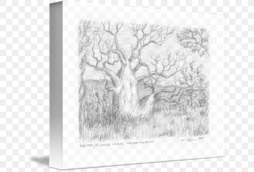 Sketch Paper Picture Frames Tree Image, PNG, 650x554px, Watercolor, Cartoon, Flower, Frame, Heart Download Free